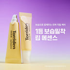 Torriden Solid In Ceramide Lip Essence 11mL 1+1